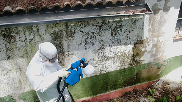 Trusted Mold Testing service in Williamsburg, PA - Cheap Mold Removal